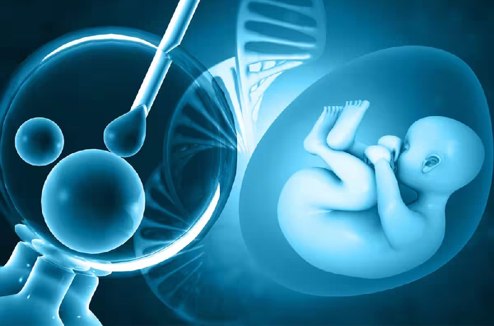 试管婴儿助孕